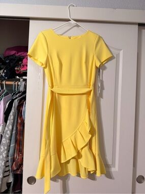 NWT Calvin Klein Size 6P Dress